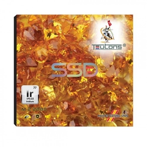 TEUTONS IRIDIUM 2280 128GB M.2 SSD (SSD)